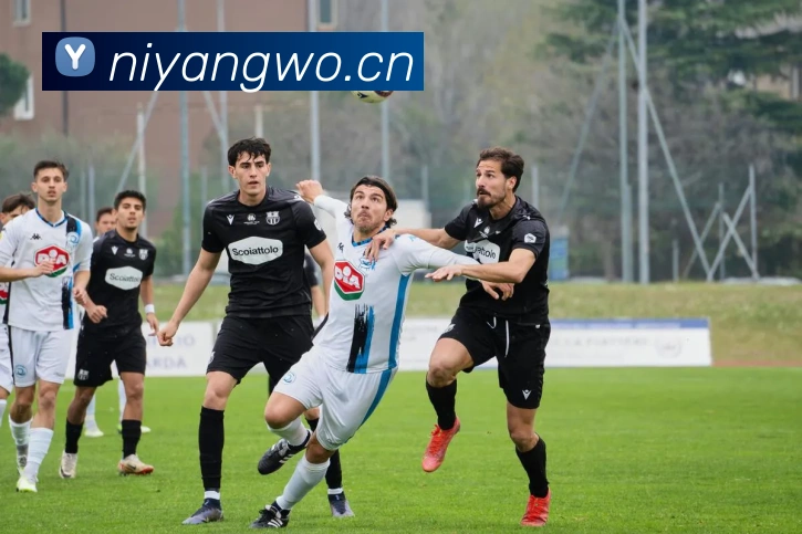 开云官网品牌故事