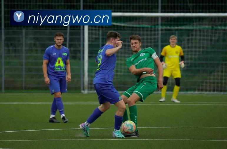 开云官网服务体系